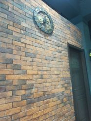 -FUTURE HN男士发型风格设计