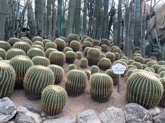 -南山植物园