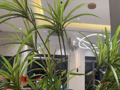 -西语·炭烧牛排(卓越中寰店)