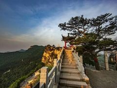 -大芦花风景区