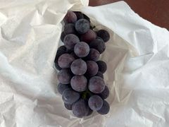 -马陆小张葡萄园农家乐