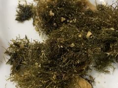 -旧款宁波饭店(华敏世纪广场店)