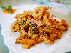 白沙虾-华兴大酒楼(亿宝大厦店)