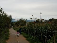 -古道惠风饭庄