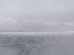 -长虫山生态公园风景林