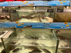 -中百仓储超市(百步亭花园路店)