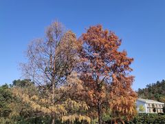 -苏体天云湖运动度假村