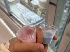 -白色日记·手作酸奶(麦凯乐店)