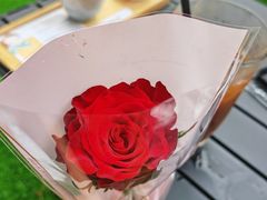 -SANYAY叁言咖啡巧克力
