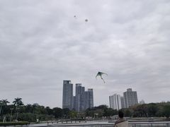 -文华公园(禅城区)