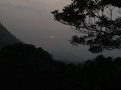 -梧桐山风景名胜区