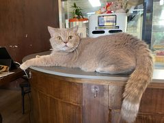 -MIMO CAFE(沙头角店)