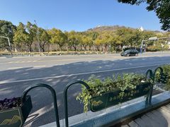 -上海佘山国家森林公园西佘山园