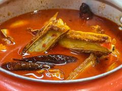 -撒拉花儿·新疆菜·清真(太阳宫店)