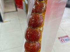 -和禄德冰糖葫芦