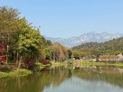 -田野绿世界