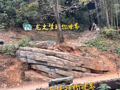 -太湖龙之梦