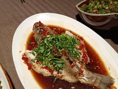 -樽宴酒楼·地道川菜·品质宴请