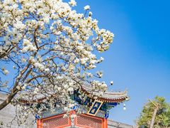 -西安市广仁寺