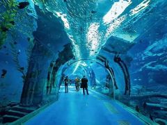 -波塞冬旅游度假区