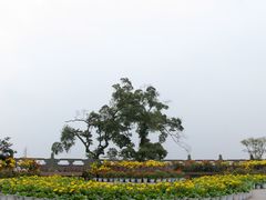 -乐山大佛风景名胜区乌尤寺南门-售票点