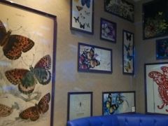 -朱古力纯K量贩式KTV(国庆中路店)