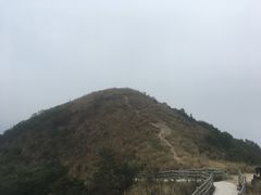 -银瓶嘴森林公园