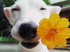 -吴裕泰(雍和宫店)