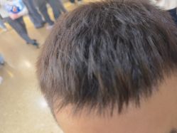 -YESIDO椰岛造型