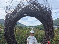 -亚龙湾国际玫瑰谷