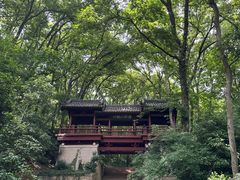 -紫霞湖公园