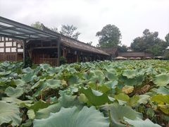 -三圣花乡旅游区