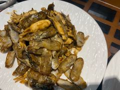 葱姜炒蛏子-良师门滨海人家·海鲜·家常菜(滨海城店)
