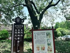 -青羊宫