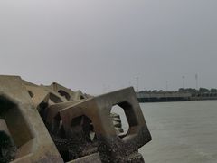 -东疆建设开发纪念公园