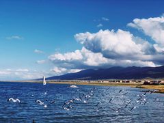 -青海湖国家重点风景名胜区