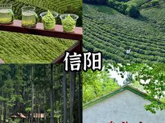 -仙岛湖旅游风景区