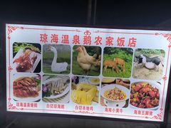 -琼海温泉鹅农家饭店
