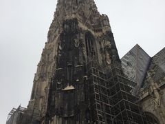 -斯蒂芬主教座堂(Stephansdom)