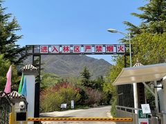 -北京鹫峰国家森林公园