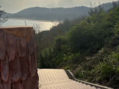 -广东惠东海龟国家级自然保护区