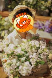 -七色田儿童摄影(静安店)