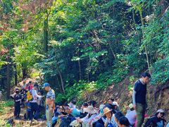 -素山寺森林公园