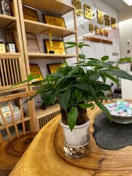 -御品•瑶浴灸疗SPA