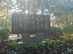 -宋井风景区