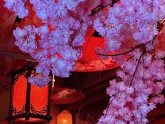 -暴风岛沉浸式体验馆(百联世纪店)