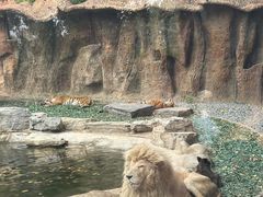 -北京野生动物园