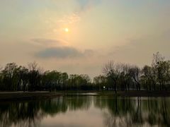 -东郊湿地公园