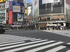 -涩谷区