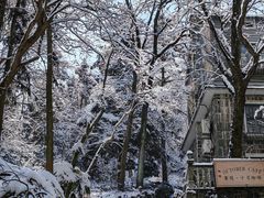 -莫干山风景区